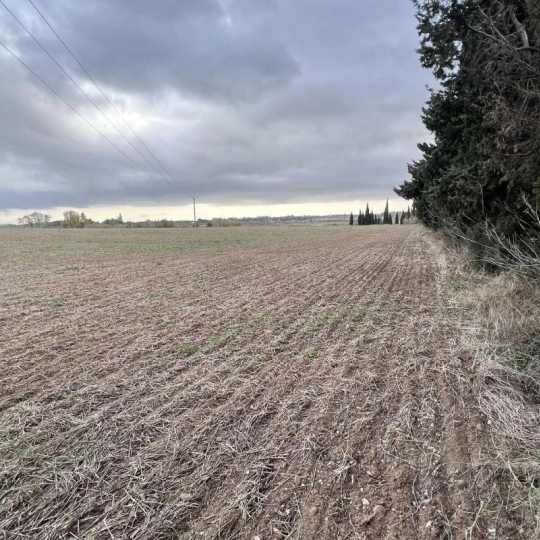  Annonces MAGALAS : Terrain | BEZIERS (34500) | 0 m2 | 92 000 € 